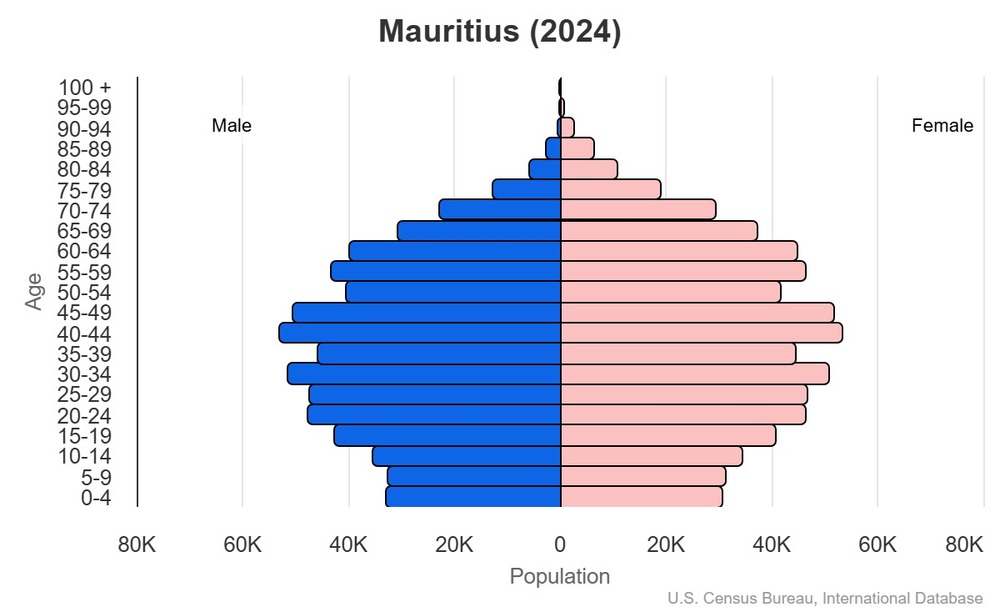 2024 population pyramid