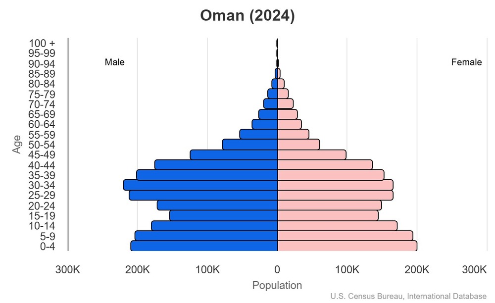 2024 population pyramid