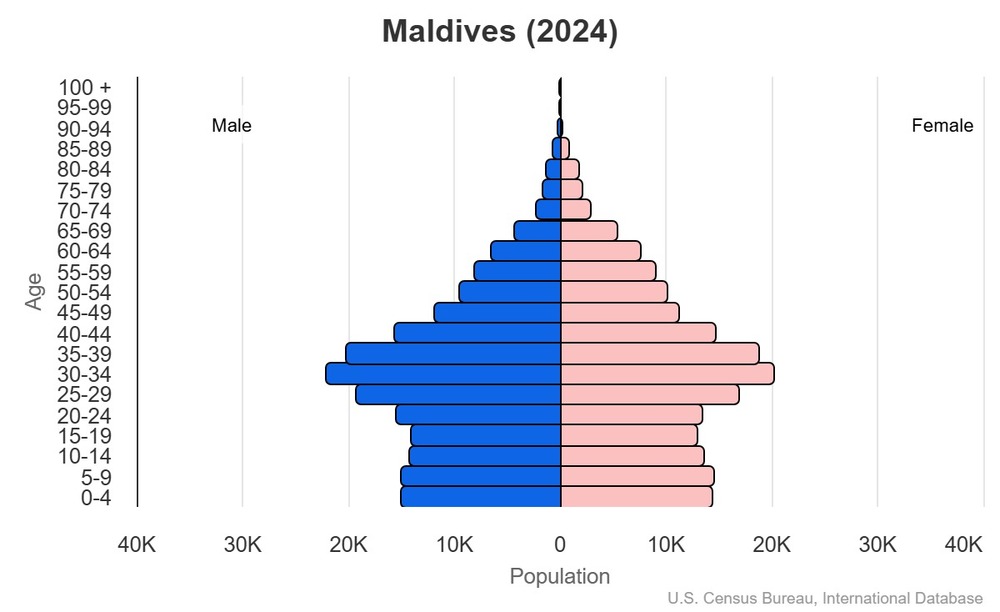 2024 population pyramid