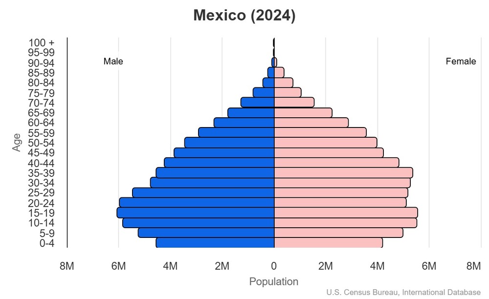 2024 population pyramid