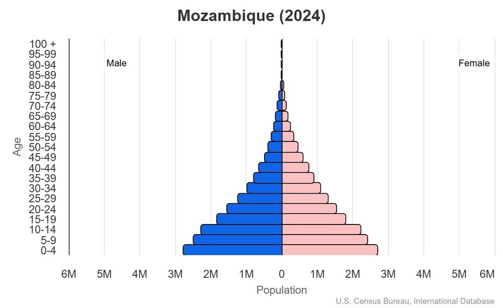 2024 population pyramid