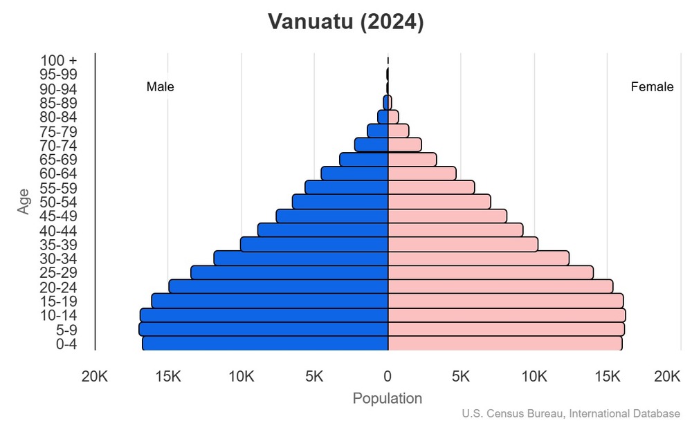 2024 population pyramid