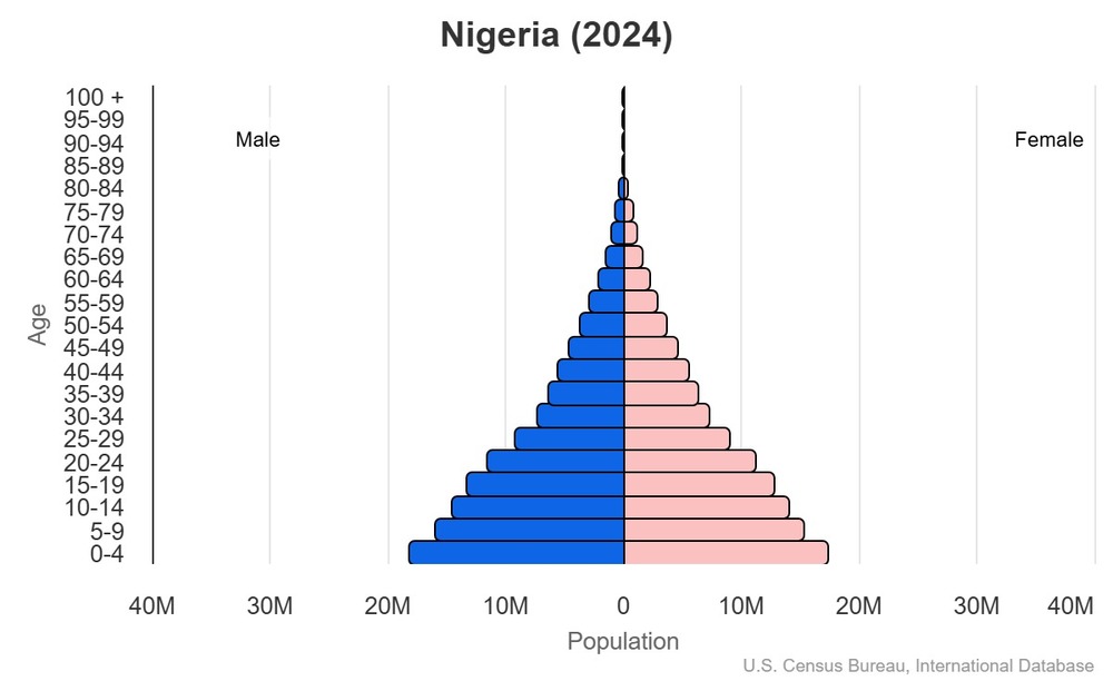 2024 population pyramid