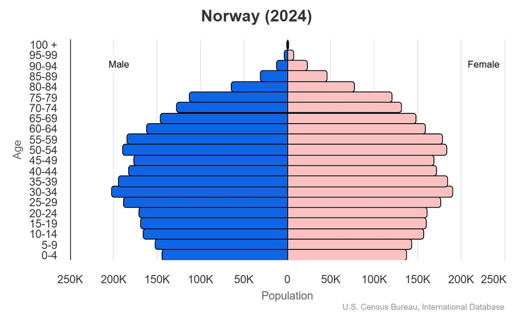 2024 population pyramid