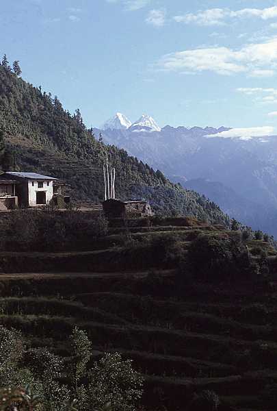 Mountainside village terracing with the Himalayas in the background.