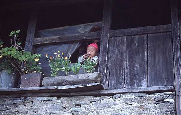 A toddler gazes at the plants on a simple village window sill.