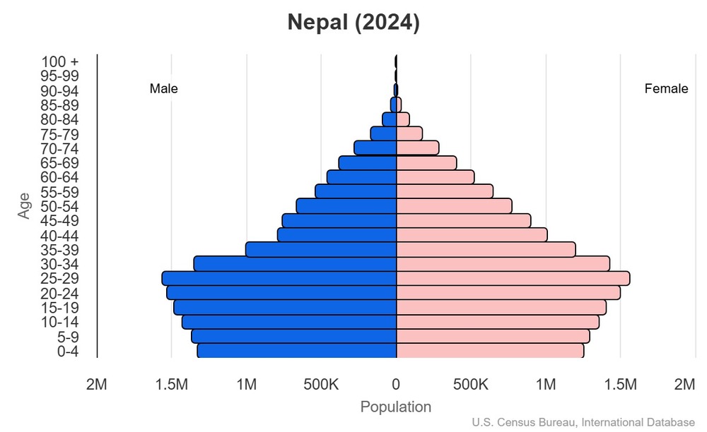 2024 population pyramid