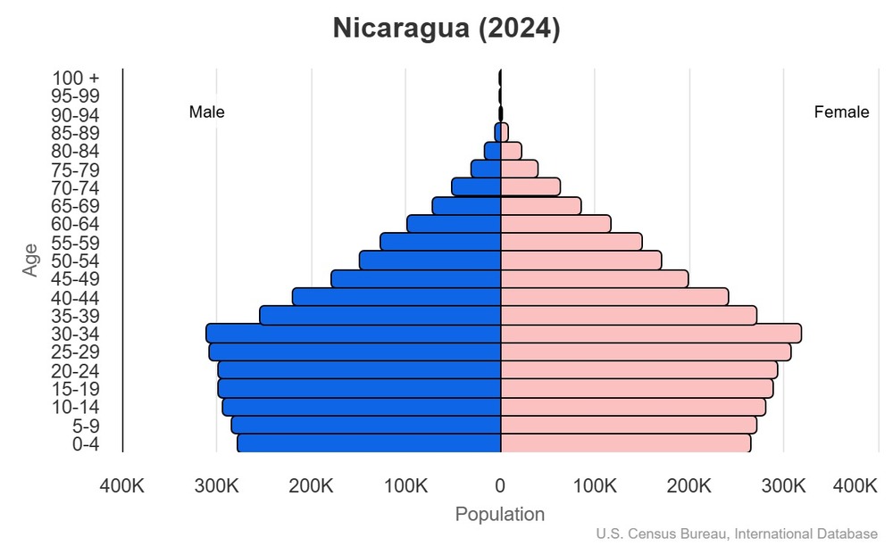 2024 population pyramid