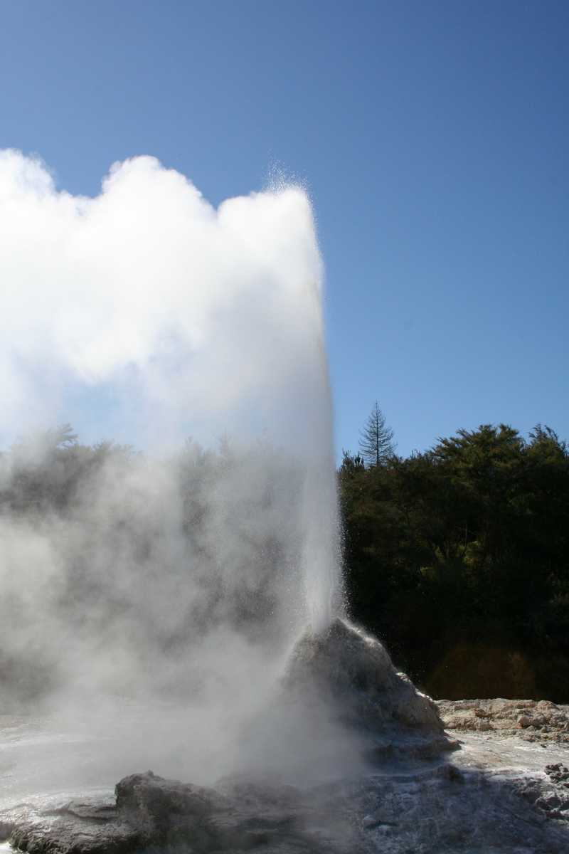 Lady Grey Geyser, located in Wai-O-Tapu Thermal Park on the North Island, is one of the larger geysers in the Rotorua region. Park employees trigger eruptions by releasing the underground reservoir surface tension with soap flakes.