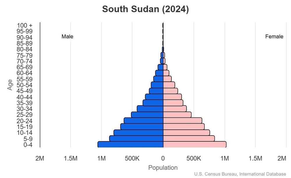 2024 population pyramid