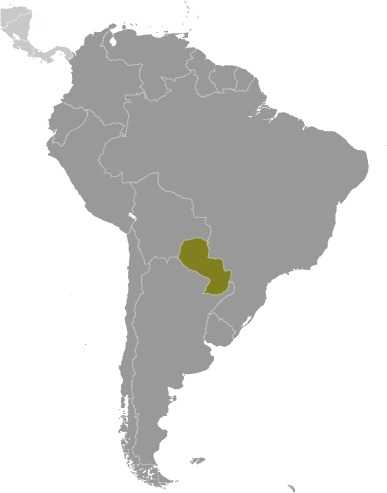 Paraguay locator map