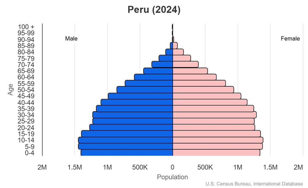 2024 population pyramid
