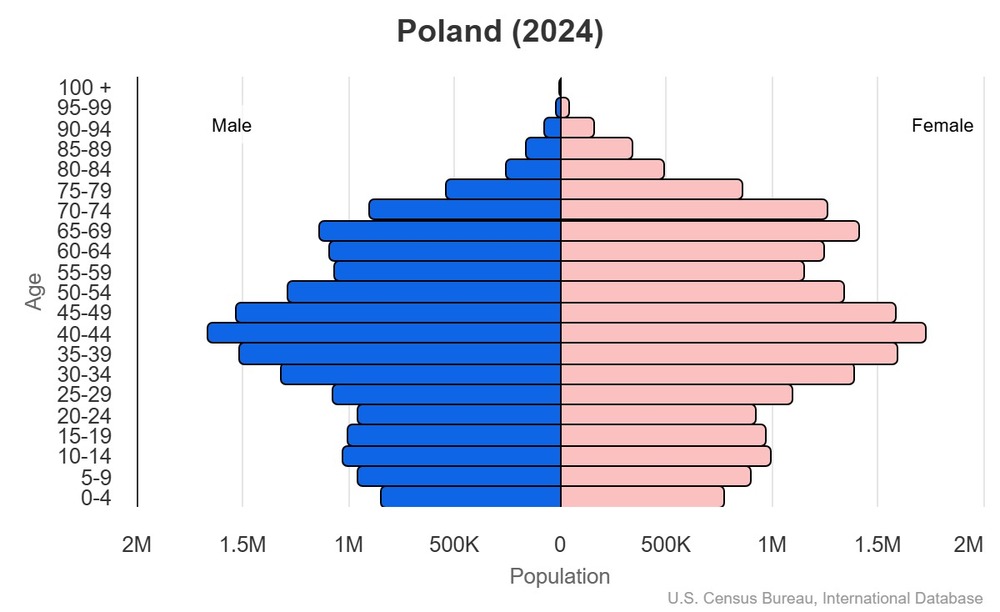 2024 population pyramid