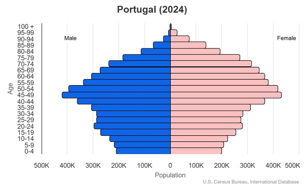 2024 population pyramid