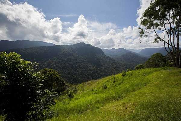 A view of the famous Kokoda Track that crosses the Owen Stanley Mountains of Papua New Guinea from Port Moresby in the west to Buna on the east coast.  In 1942, Imperial Japanese forces invaded New Guinea, then a territory of Australia, in a bid to capture Port Moresby. In a bitterly contested campaign fought along the Kokoda Track from July to November 1942, the Australian Army turned back the invasion and eventually forced the Japanese back to their starting point. Ammunition and supplies were trucked 45 km (28 mi) from Port Moresby to Owers Corner where they were repacked in Uberi, a major supply base just beyond the Goldie River. From Uberi supplies had to be hand-carried along the tortuous track ahead. Native Papuans provided invaluable assistance in carrying supplies forward and evacuating casualties to the rear area hospitals. Photo courtesy of the US Marine Corps/ Lance Cpl. Jesus McCloud.