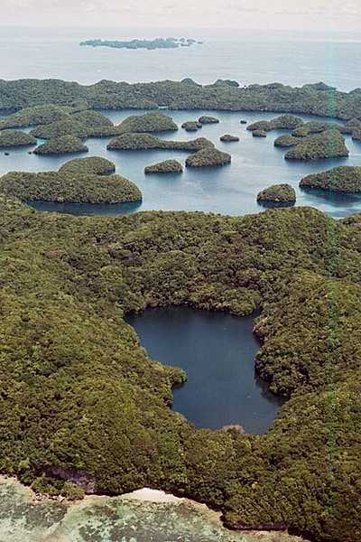 Aerial view of Jellyfish Lake on the island of Eil Malk in Palau. This view is looking west across the lake, past some small coral and rock islets around Eil Malk, and toward the Seventy Island Preserve, which is some 11.5 km (7 mi) distant. Photo courtesy of the US National Park Service.