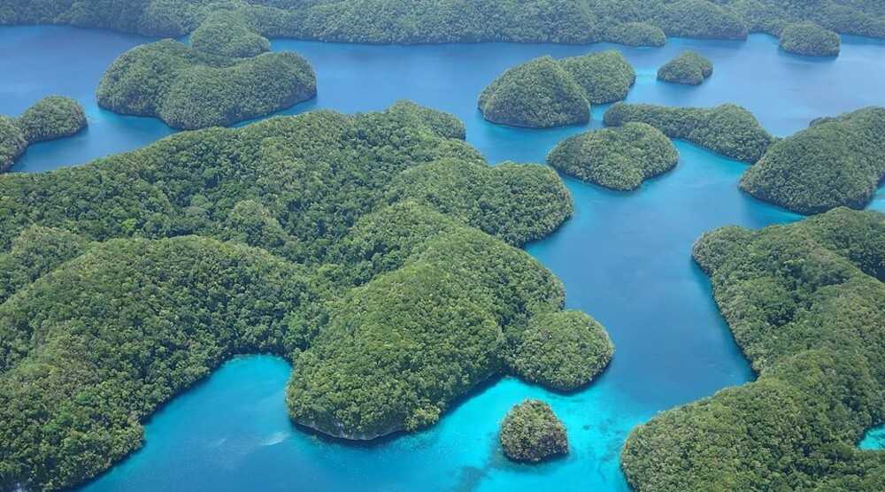 Palau’s Rock Islands Southern Lagoon consists of 445 limestone islands shaped by volcanic activity in an area of about 42 sq km (16 sq mi).  A UNESCO World Heritage Site since 2012, the islands are now largely uninhabited, but stone villages, burial sites, and rock art remain from a 2,500-year period of habitation that ended in the 18th century. The islands are famous for their beaches and blue lagoons, and they have the highest concentration of marine lakes in the world, as well as a reef system composed of over 385 coral species.