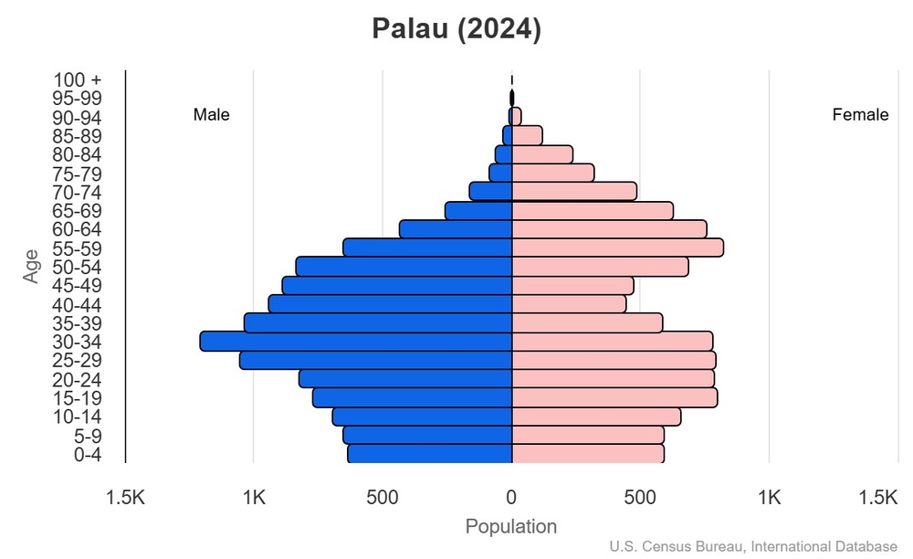 2024 population pyramid