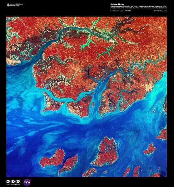 A false-color satellite image of the Guinea-Bissau coastline shows numerous offshore islands, part of the Bissagos Islands. Plains and Guinean mangroves, various kinds of trees and shrubs adapted to thrive in the saline coastal sediment habitats, dominate the coastline of Guinea-Bissau. In the shallow waters, silt - carried into the Atlantic Ocean by the Geba and other rivers - is deposited in various complex patterns. Image courtesy of USGS.