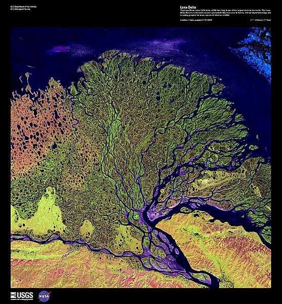 The Lena River, some 4,500 km (2,800 mi) long, is one of the longest rivers in the world. The Lena Delta Reserve, shown in this enhanced satellite photo, is the most extensive protected wilderness area in Russia; it serves as an important refuge and breeding ground for many species of Siberian wildlife. The wave-dominated delta of the Lena River is 30,000 sq km (11,580 sq mi) making it one of the largest of its kind in the world. Image courtesy of USGS.
