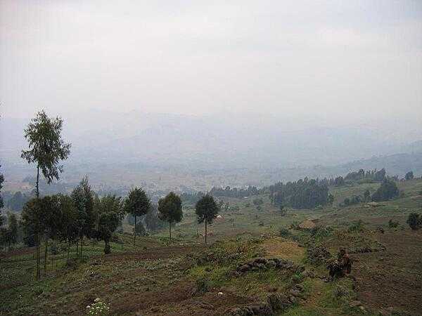 Rwanda hillsides.