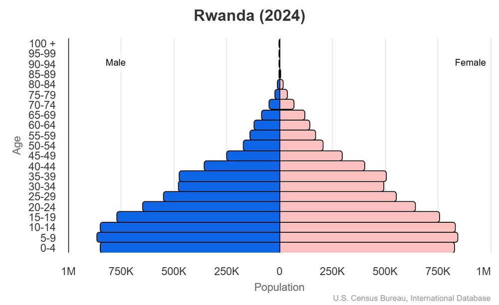 2024 population pyramid
