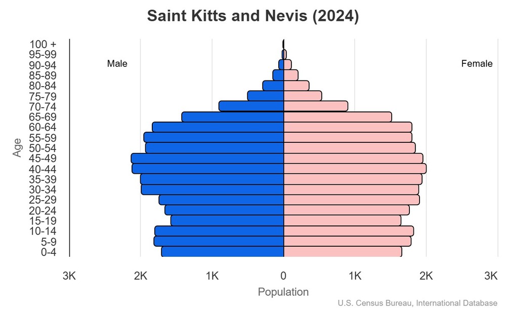 2024 population pyramid