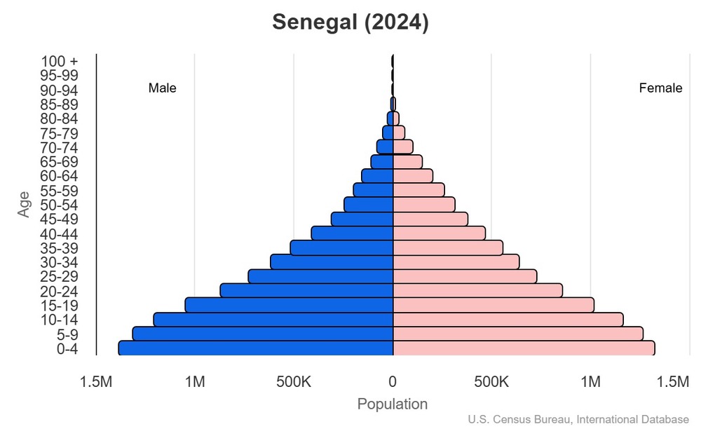 2024 population pyramid