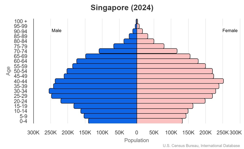2024 population pyramid