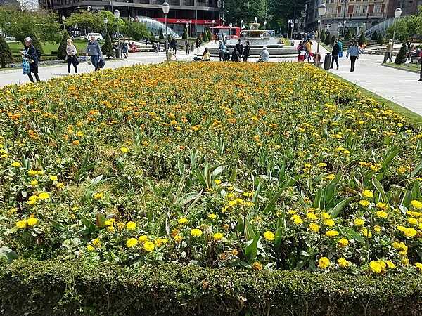 Flowers in a square in Bilbao, the capital of Bizkaia (Basque) Province.  Signs are in Spanish and Basque.