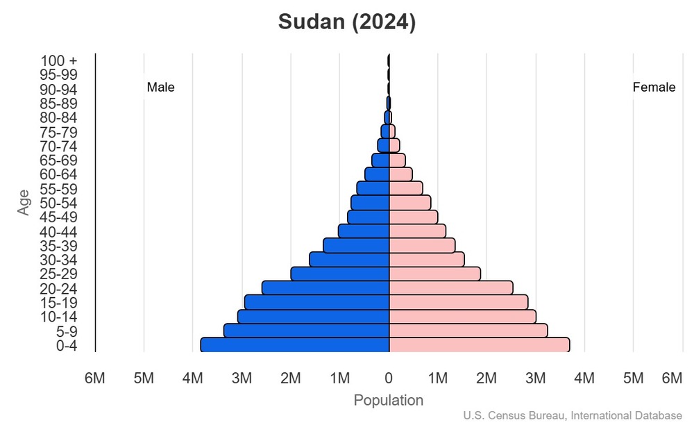 2024 population pyramid