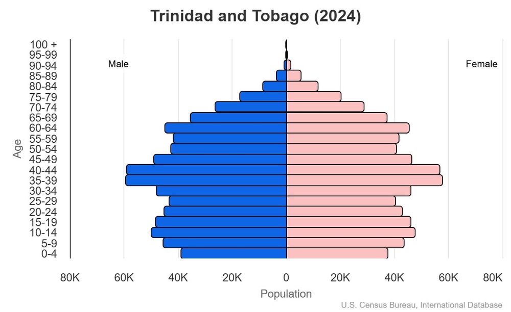 2024 population pyramid