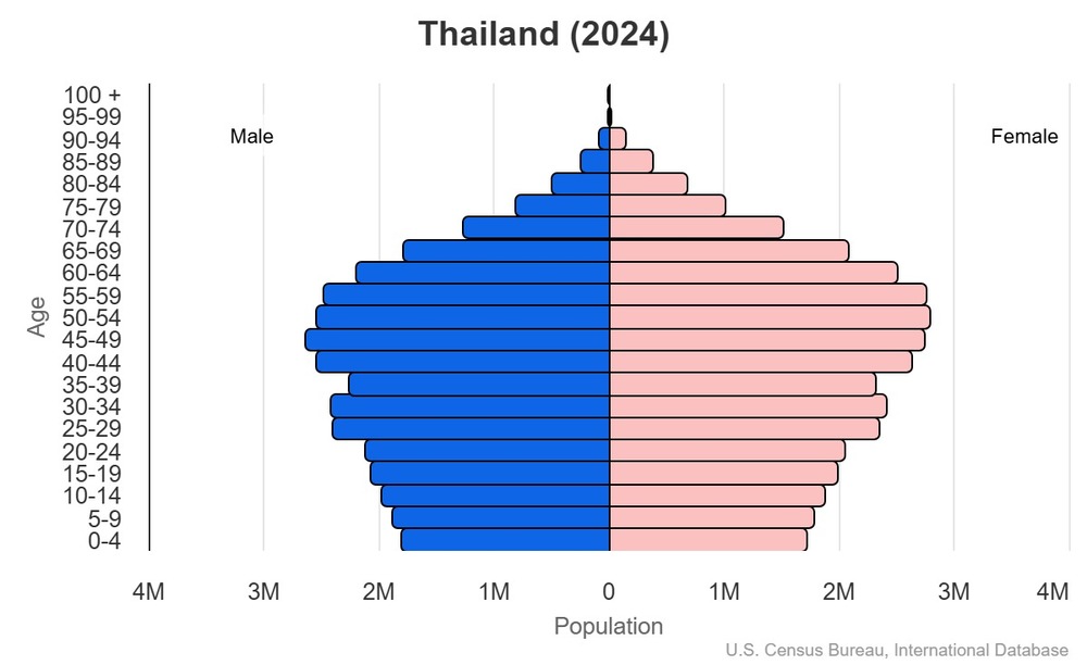 2024 population pyramid