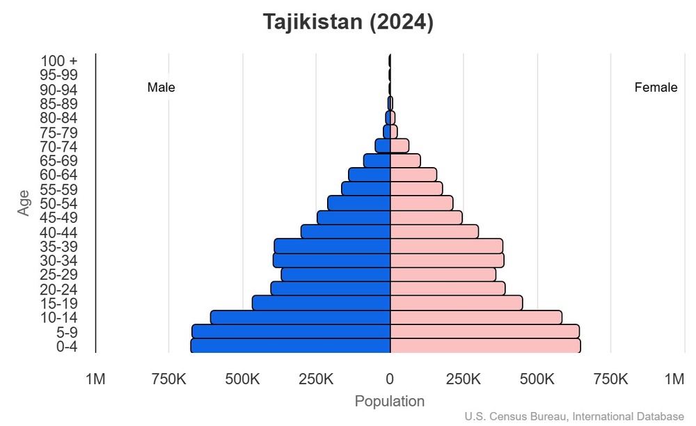 2024 population pyramid