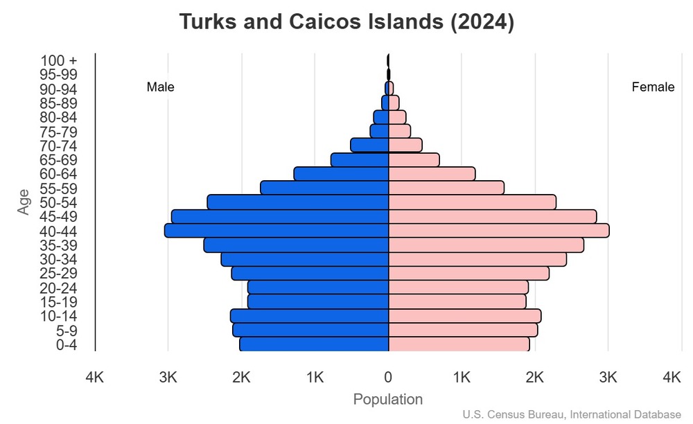 2024 population pyramid 2024 population pyramid