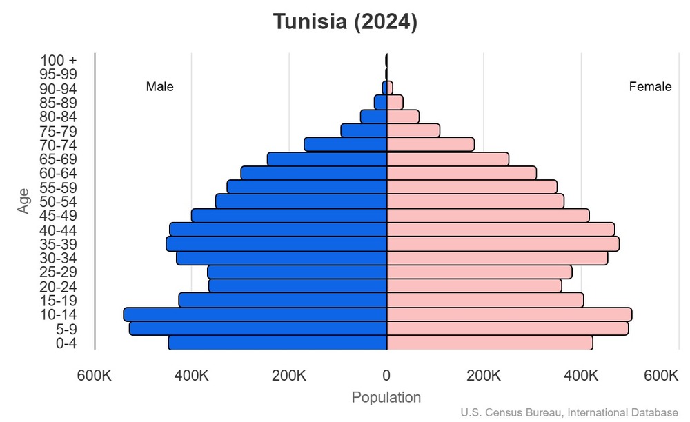 2024 population pyramid