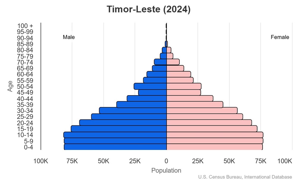 2024 population pyramid