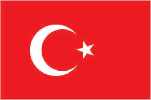 Turkey (Turkiye) flag