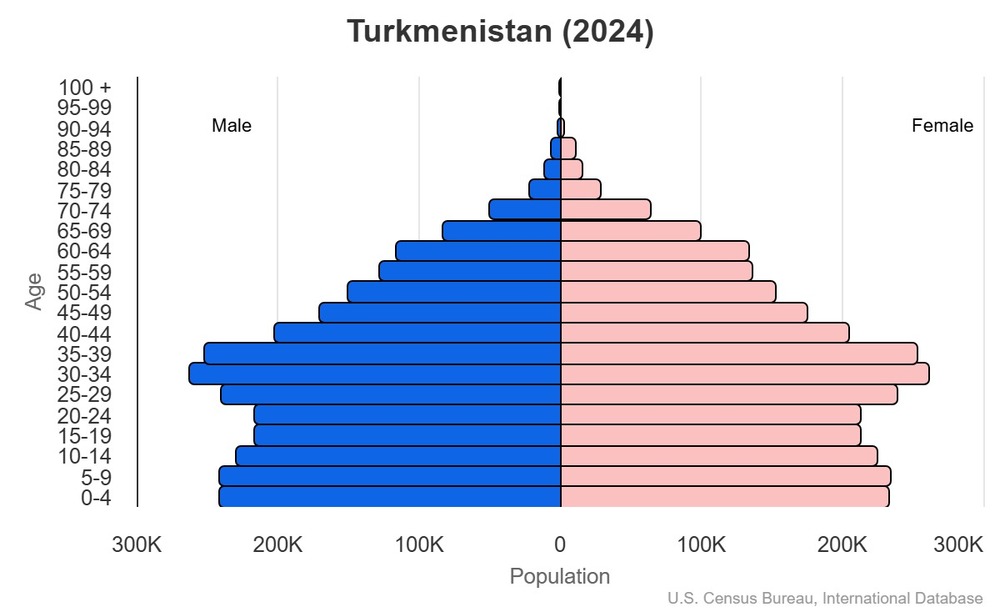 2024 population pyramid