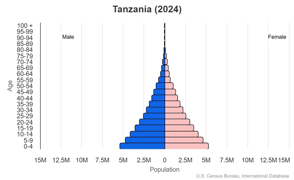 2024 population pyramid