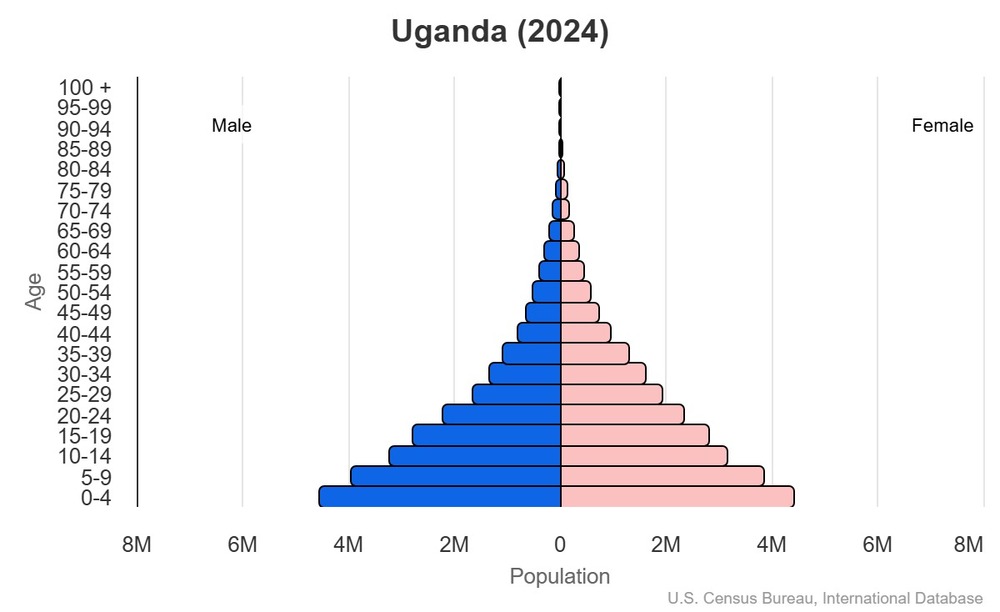 2024 population pyramid