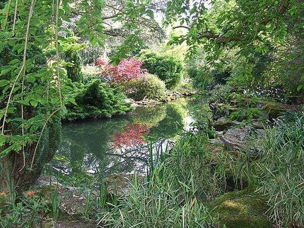 A hidden pool in the Secret Garden at Blenheim Palace.