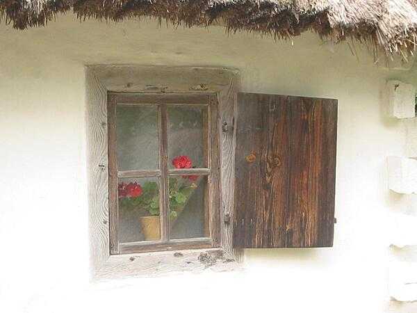 Geranium blossoms peer through a cottage window at the outdoor Museum of Folk Architecture and Life in Pyrohiv, just south of Kyiv.