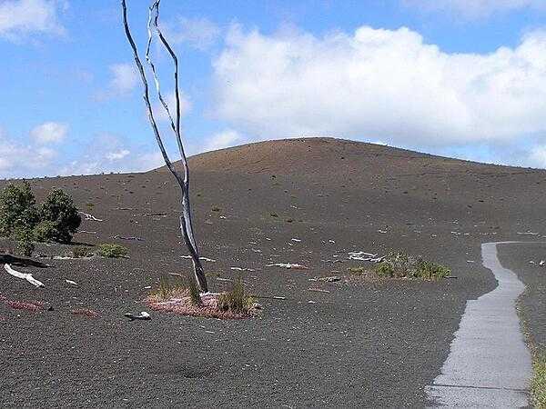 Devastation Trail at Hawaii Volcanoes National Park on the Big Island.