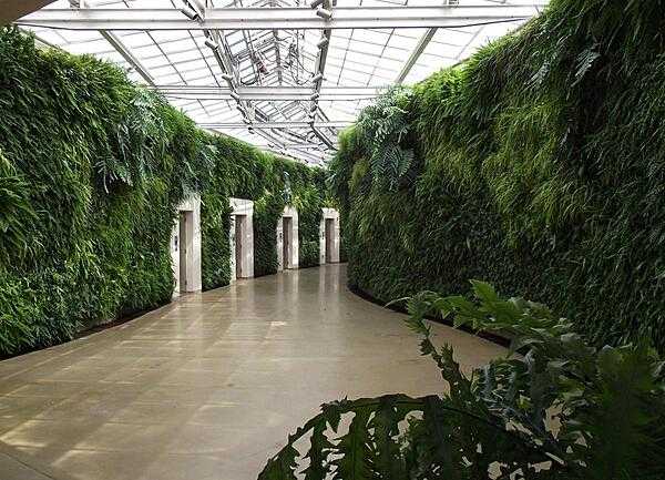 &quot;Green walls&quot; in one of the conservatories at Longwood Gardens, Kennett Square, Pennsylvania.