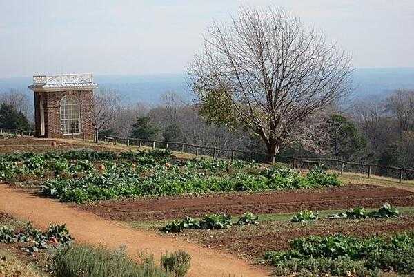 Jefferson and his guests sat inside the brick structure to appreciate the gardens, orchards, and view.