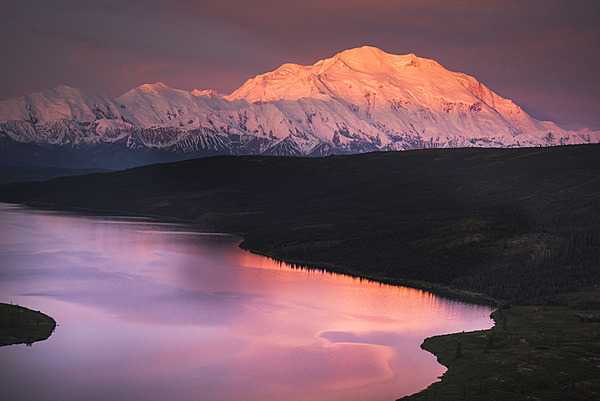 Alaska is home to North America’s highest peak, Denali, seen in the background in this picture.  Denali, at the heart of the six-million-acre Denali National Park and Preserve, stands 6,190 m (20,310 ft) above sea level and is the third-highest of the Seven Summits (the tallest peaks on all seven continents). Denali has five large glaciers flowing off its slopes. The mountain’s name comes from Koyukon, a Native Alaskan language, and means “the high one” or “the tall one.”