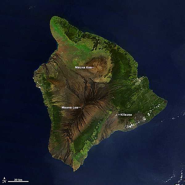 A satellite image of the Big Island of Hawaii. The three largest of the five shield volcanoes that make up the island are labeled. Mauna Kea is dormant, but Mauna Loa and Kilauea remain active and contribute to the island's continued growth. Mauna Loa has historically been considered the largest volcano on Earth. Image courtesy of NASA.