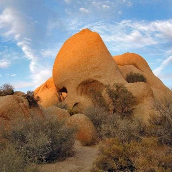 Skull Rock is a popular destination at Joshua Tree National Park, California. Photo courtesy of the US National Park Service/ Robb Hannawacker.