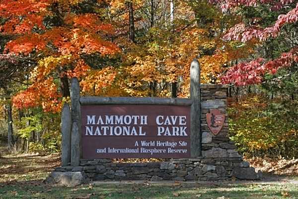 The Mammoth Cave National Park entrance sign at the park's eastern entrance in the fall. Mammoth Cave, discovered in 1791, is 668 km (415 mi) long and was designated a World Heritage Site in 1981. Image courtesy of the US National Park Service.